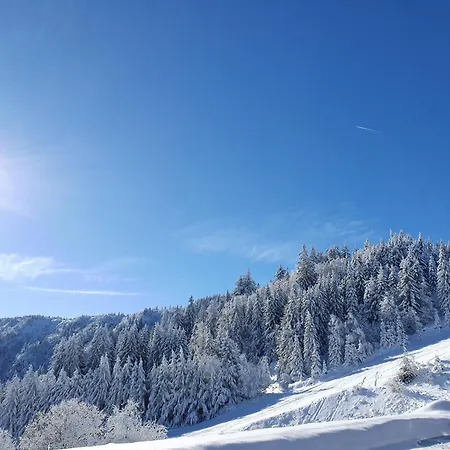 Agreable 3 Pieces Au Lac Blanc Orbey Esterno foto
